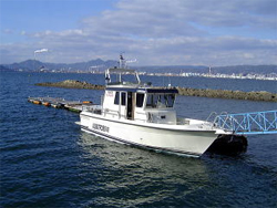 �����o�q�p���W�������V�� 