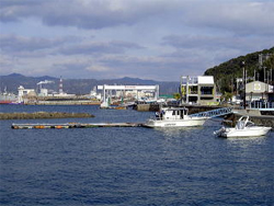 ���W���p������