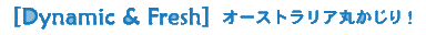[Dynamic&Fresh]�I�[�X�g�����A�ۂ�����I