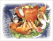 �V�[�t�[�h�v���b�^�[